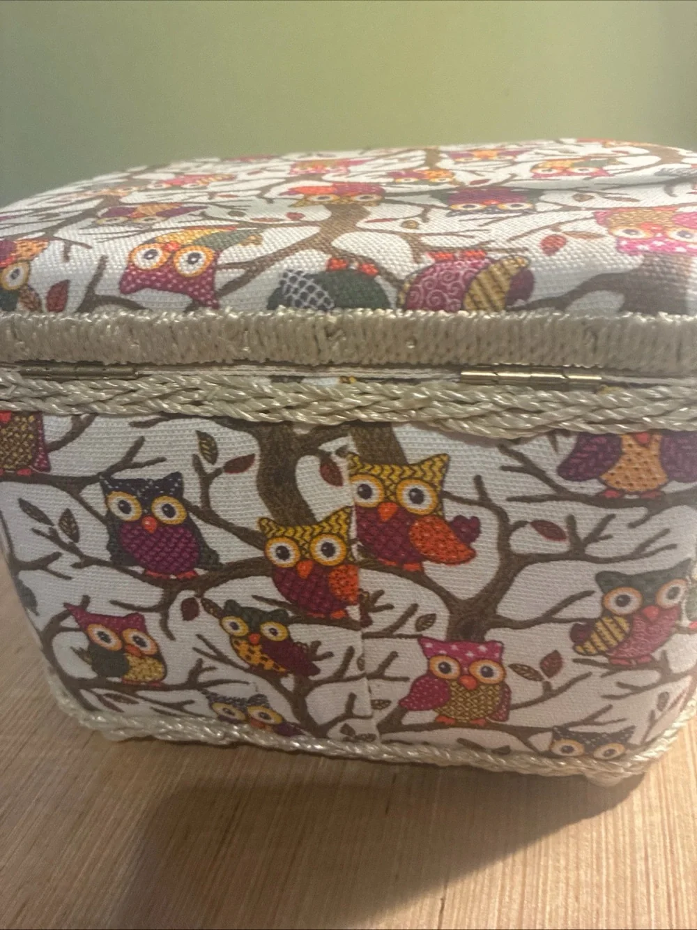 Owl Print Seeing  Box in Cream and Multicolor